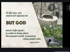 Các Anh Hại Tôi, Nhưng Chúa Làm Điều Tốt Cho Tôi