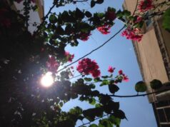 Những Ngày Tháng Tốt Đẹp Đã Chấm Dứt Rồi