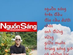 Tôi Nở Một Bông Hoa