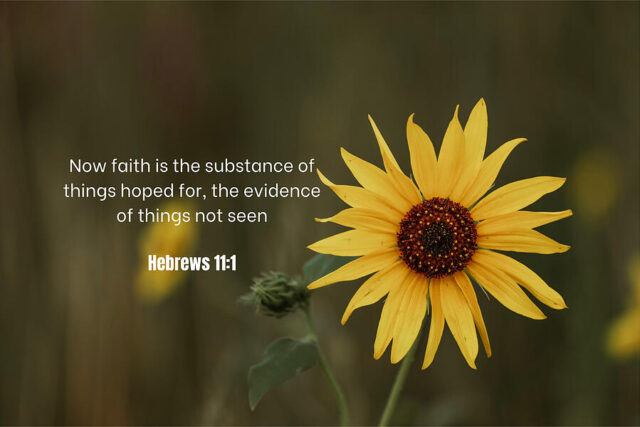 hebrews-11-1-riley-bradford