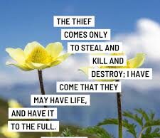 Các phần của con người