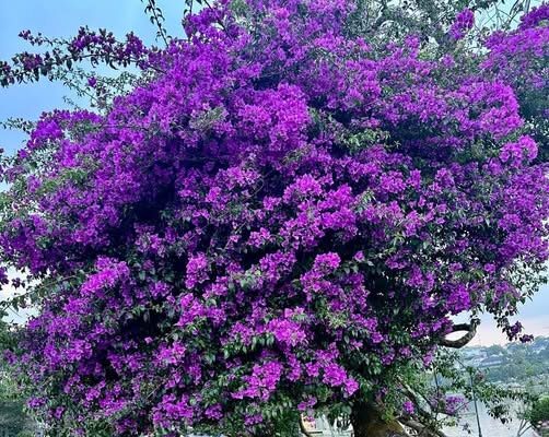 Giao Ước Giữa Chúa Và Người